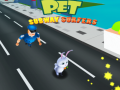 Játék Pet Subway Surfers