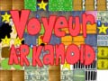Játék Voyeur arkanoid