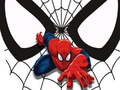 Játék Spiderman Match Cards