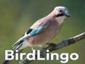 Játék BirdLingo