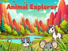 Játék Animal Explorer 