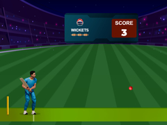 Játék Cricket Night 2