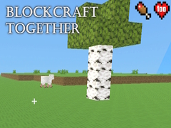 Játék BlockCraft Together