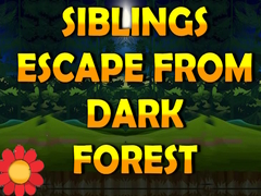 Játék Siblings Escape From Dark Forest
