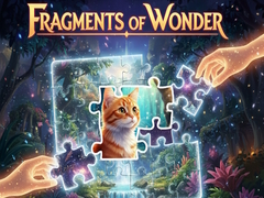 Játék Fragments of Wonder